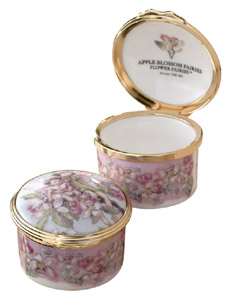 Apple-Blossom Flower Fairy Gift box